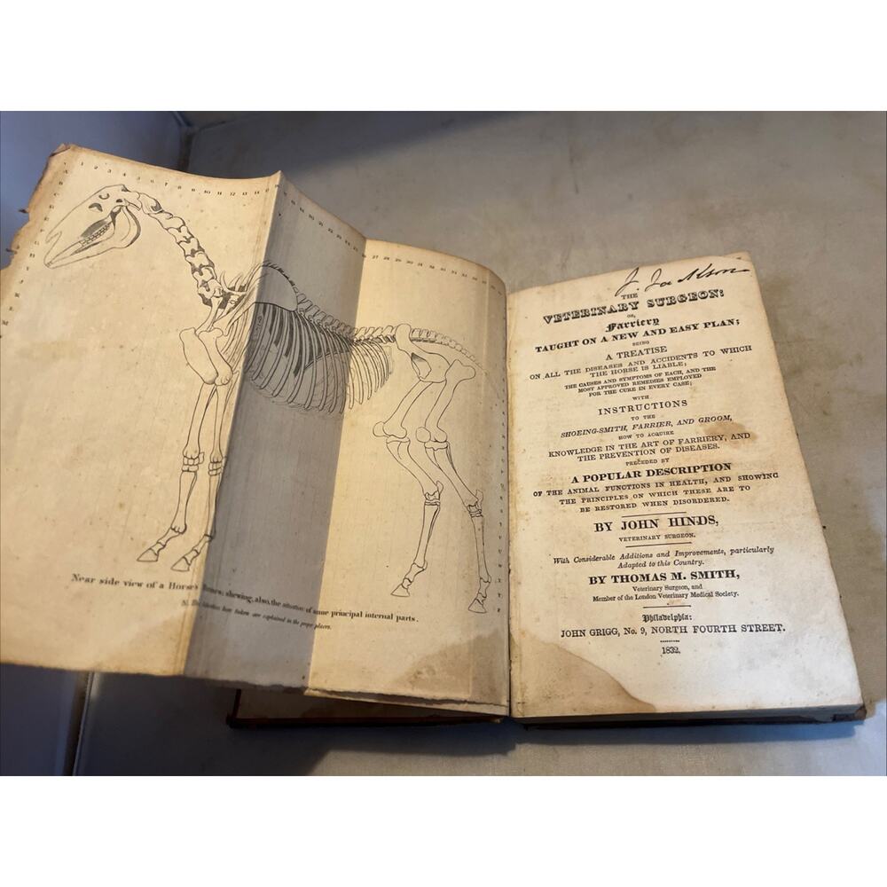 1834 Veterinary Surgeon: Or, Farriery Taught On a New and Easy Plan 4 Fold Outs - Picture 4 of 9